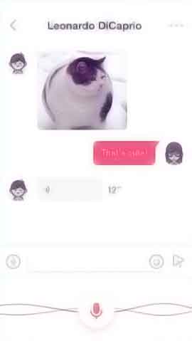 电话轰炸业务网
